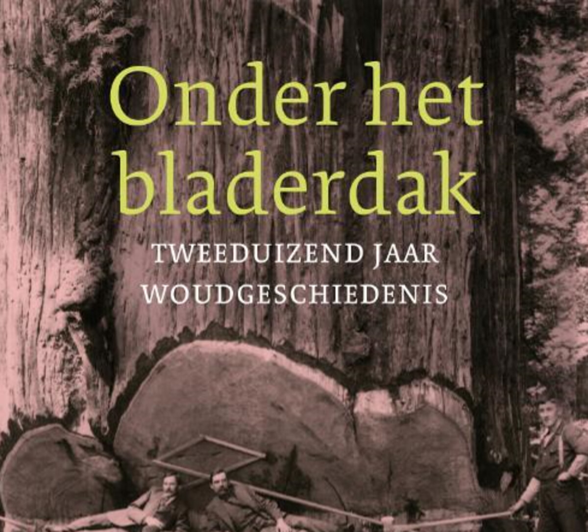 De cultuurgeschiedenis van het woud VPRO